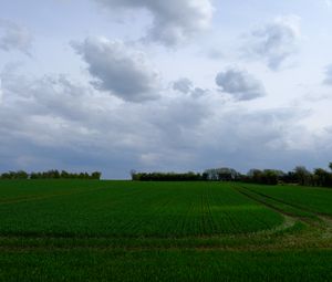 Preview wallpaper field, grass, horizon, clouds