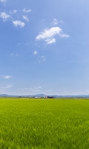 Preview wallpaper field, grass, houses, landscape, nature, minimalism