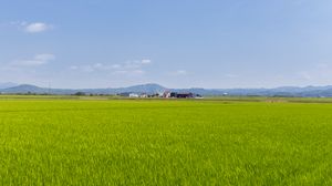 Preview wallpaper field, grass, houses, landscape, nature, minimalism