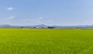 Preview wallpaper field, grass, houses, landscape, nature, minimalism