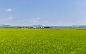 Preview wallpaper field, grass, houses, landscape, nature, minimalism