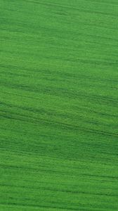 Preview wallpaper field, grass, lawn, green