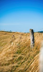 Preview wallpaper field, grass, log, nature