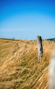 Preview wallpaper field, grass, log, nature