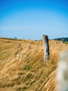 Preview wallpaper field, grass, log, nature