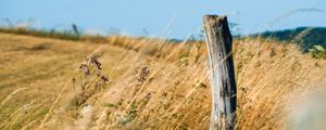 Preview wallpaper field, grass, log, nature