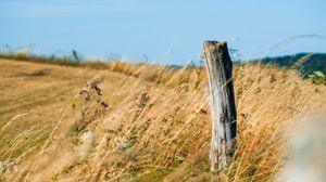 Preview wallpaper field, grass, log, nature