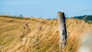 Preview wallpaper field, grass, log, nature