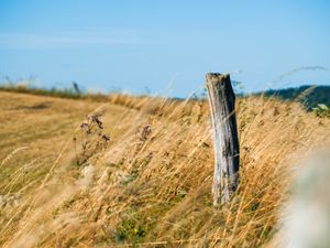 Preview wallpaper field, grass, log, nature