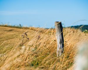 Preview wallpaper field, grass, log, nature