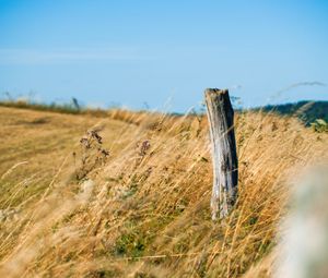 Preview wallpaper field, grass, log, nature