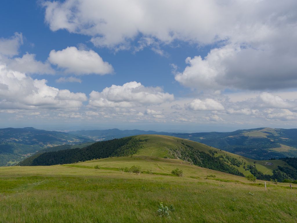 1024x768 Wallpaper field, grass, mountains, clouds, sky, landscape
