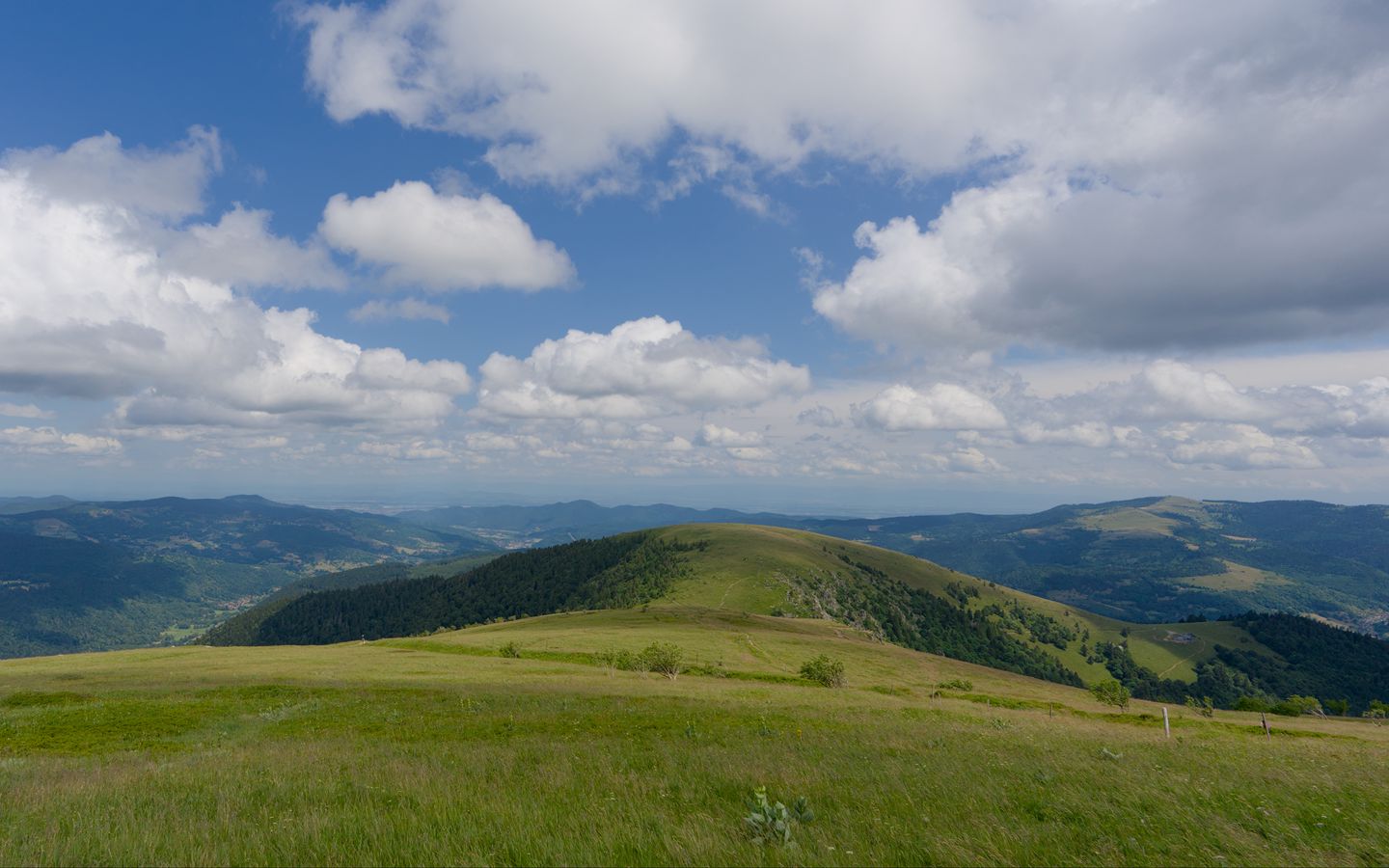 1440x900 Wallpaper field, grass, mountains, clouds, sky, landscape