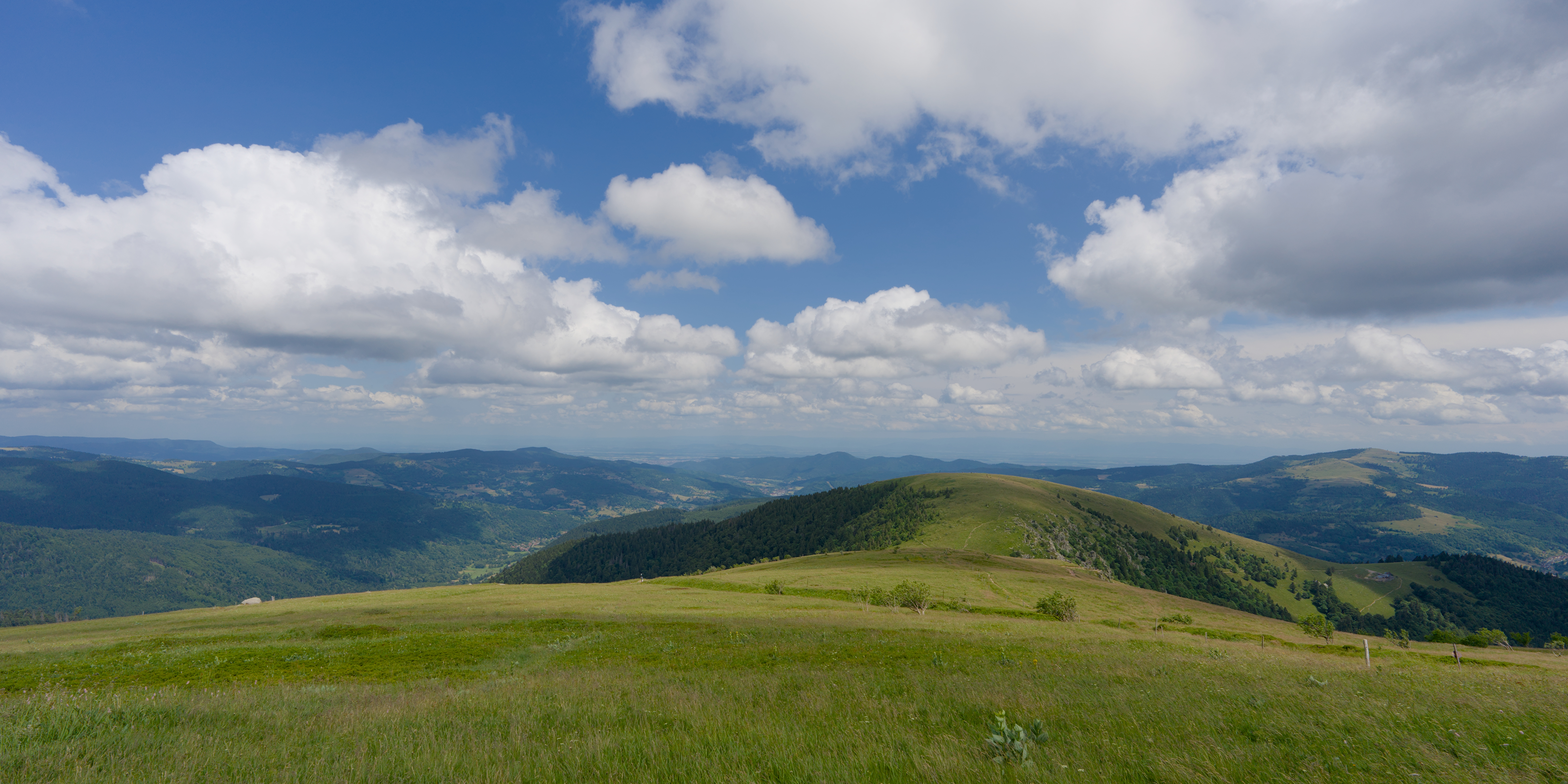 7031x3515 Wallpaper field, grass, mountains, clouds, sky, landscape