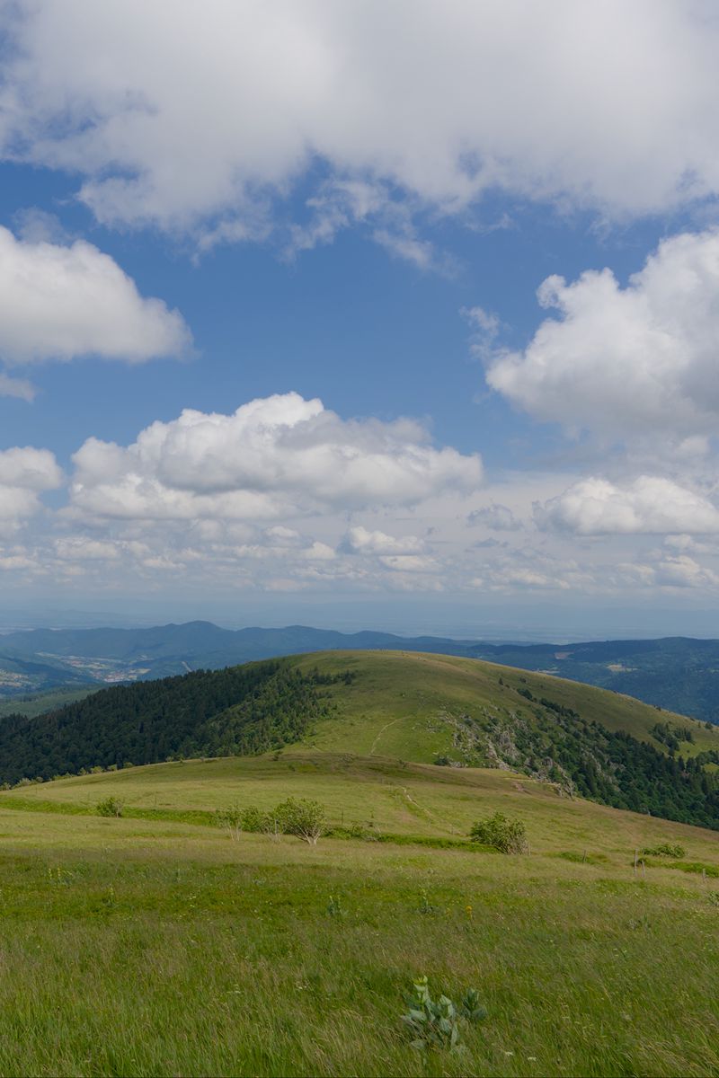 800x1200 Wallpaper field, grass, mountains, clouds, sky, landscape