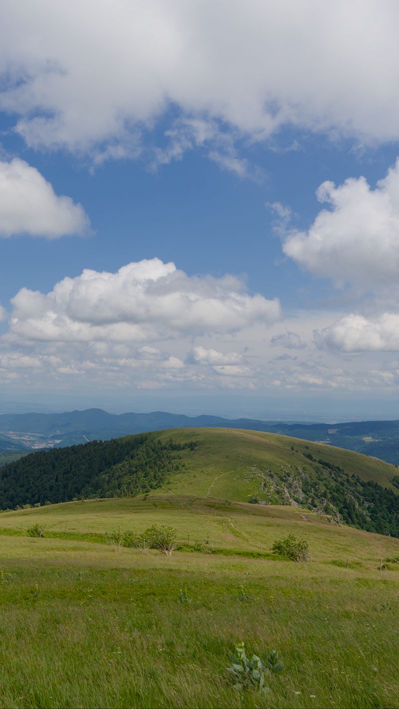 800x1420 Wallpaper field, grass, mountains, clouds, sky, landscape