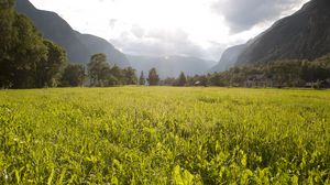 Preview wallpaper field, grass, mountains, trees, landscape