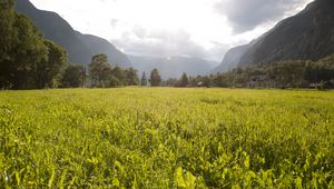 Preview wallpaper field, grass, mountains, trees, landscape