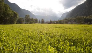 Preview wallpaper field, grass, mountains, trees, landscape