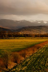 Preview wallpaper field, grass, mountains, hills, landscape