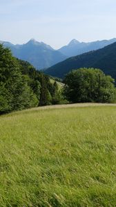 Preview wallpaper field, grass, nature, trees, mountains, sky