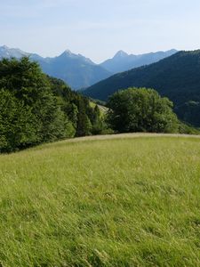 Preview wallpaper field, grass, nature, trees, mountains, sky