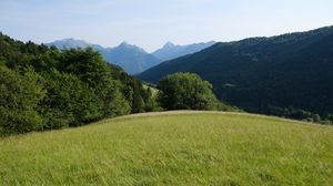 Preview wallpaper field, grass, nature, trees, mountains, sky