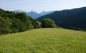 Preview wallpaper field, grass, nature, trees, mountains, sky