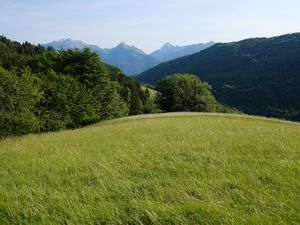 Preview wallpaper field, grass, nature, trees, mountains, sky