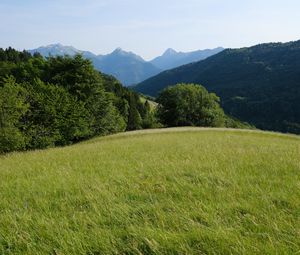 Preview wallpaper field, grass, nature, trees, mountains, sky