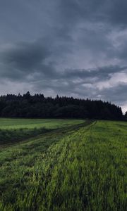 Preview wallpaper field, grass, path, overcast