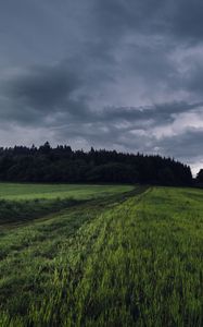 Preview wallpaper field, grass, path, overcast