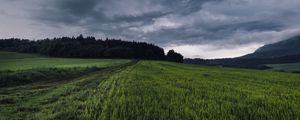 Preview wallpaper field, grass, path, overcast