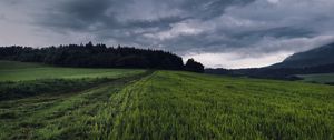 Preview wallpaper field, grass, path, overcast