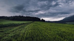 Preview wallpaper field, grass, path, overcast