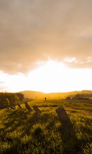 Preview wallpaper field, grass, pilings, silhouette, nature