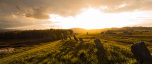 Preview wallpaper field, grass, pilings, silhouette, nature
