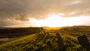 Preview wallpaper field, grass, pilings, silhouette, nature