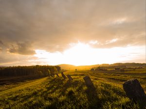Preview wallpaper field, grass, pilings, silhouette, nature