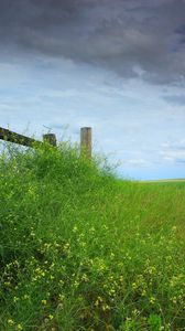 Preview wallpaper field, grass, protection, sky, cloudy, log