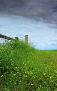 Preview wallpaper field, grass, protection, sky, cloudy, log