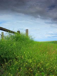 Preview wallpaper field, grass, protection, sky, cloudy, log