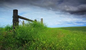 Preview wallpaper field, grass, protection, sky, cloudy, log