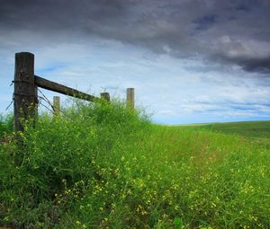 Preview wallpaper field, grass, protection, sky, cloudy, log