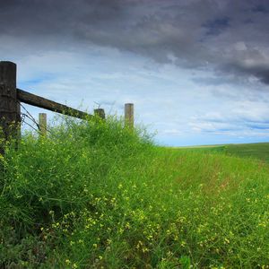 Preview wallpaper field, grass, protection, sky, cloudy, log