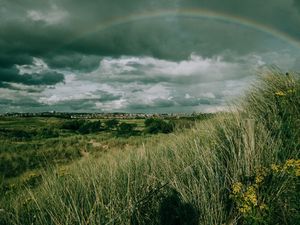 Preview wallpaper field, grass, rainbow, sky