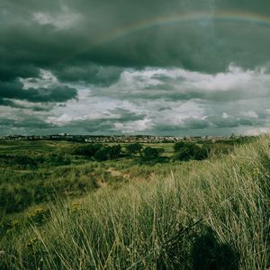 Preview wallpaper field, grass, rainbow, sky