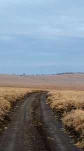 Preview wallpaper field, grass, road, turn, horizon