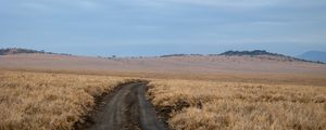 Preview wallpaper field, grass, road, turn, horizon