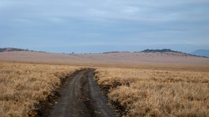 Preview wallpaper field, grass, road, turn, horizon